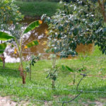 Chácara à venda na cidade de São Pedro - SP no bairro Vertentes das Águas - Refúgio Natural a 30 Minutos de Piracicaba - 5.000 m2