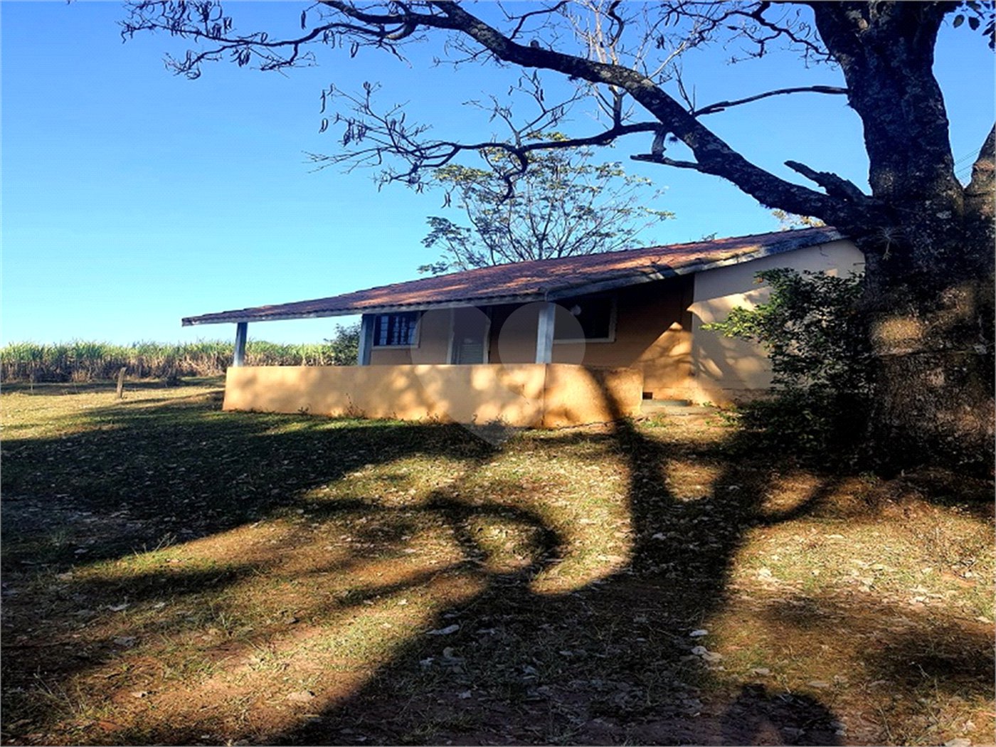 Fazenda em Ribeirão Bonito