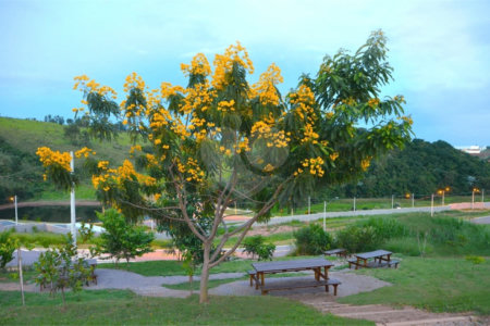 Terreno à venda no condomínio Ecologie, Itatiba - SP