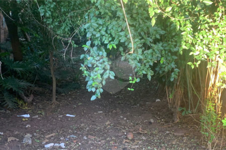 Terreno com 1.000,00 m²