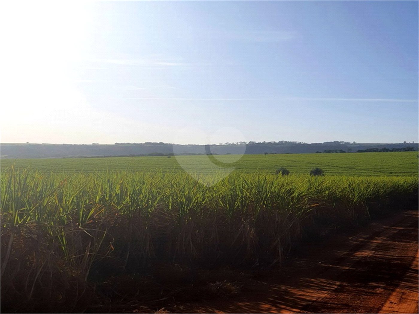 Fazenda em Ribeirão Bonito