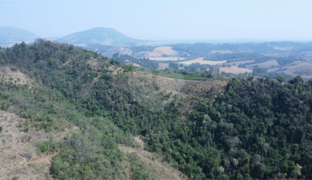 FAZENDA FORTALEZA, Caldas - MG