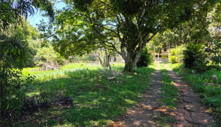 Terreno à venda em Jardim São João Batista, São Carlos, SP