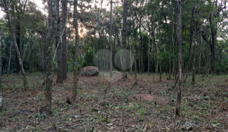 Terreno à venda em Roseira, Mairiporã, SP