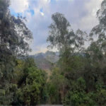Sobrado à venda com 4 quartos, sendo 2 suítes, em Serra da Cantareira, Mairiporã, SP