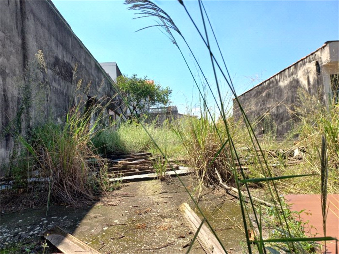 Terreno à venda em Jardim Bonfiglioli, São Paulo, SP