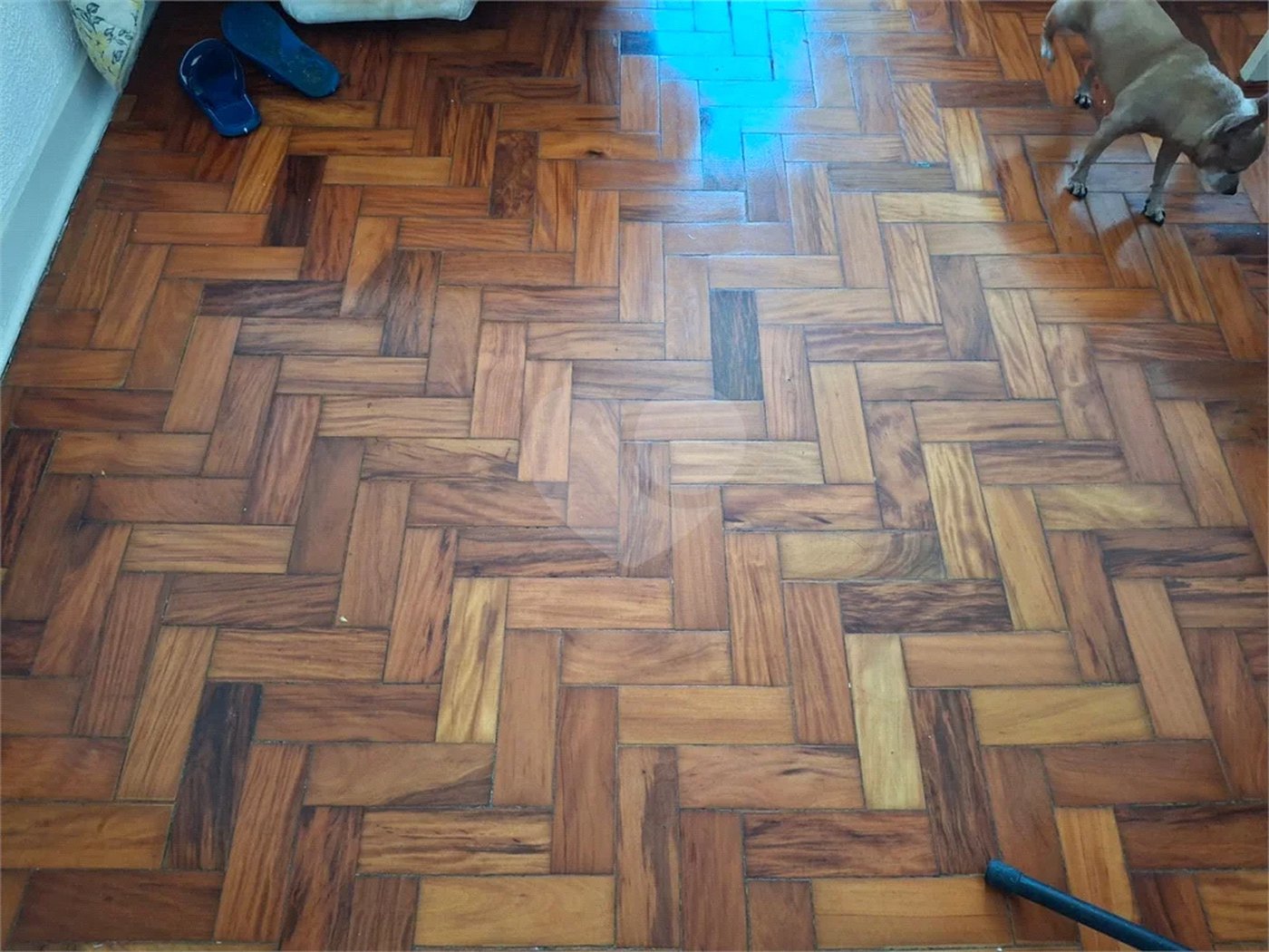 Apartamento à venda com 2 quartos em Parque Mandaqui, São Paulo, SP
