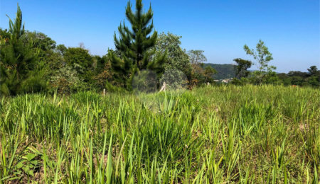 Terreno à venda em Bairro do Cambará, São Roque, SP