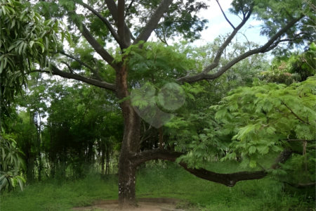 Chácara à venda com 3 quartos, sendo 1 suíte, em Morada do Sol, Sarapuí, SP