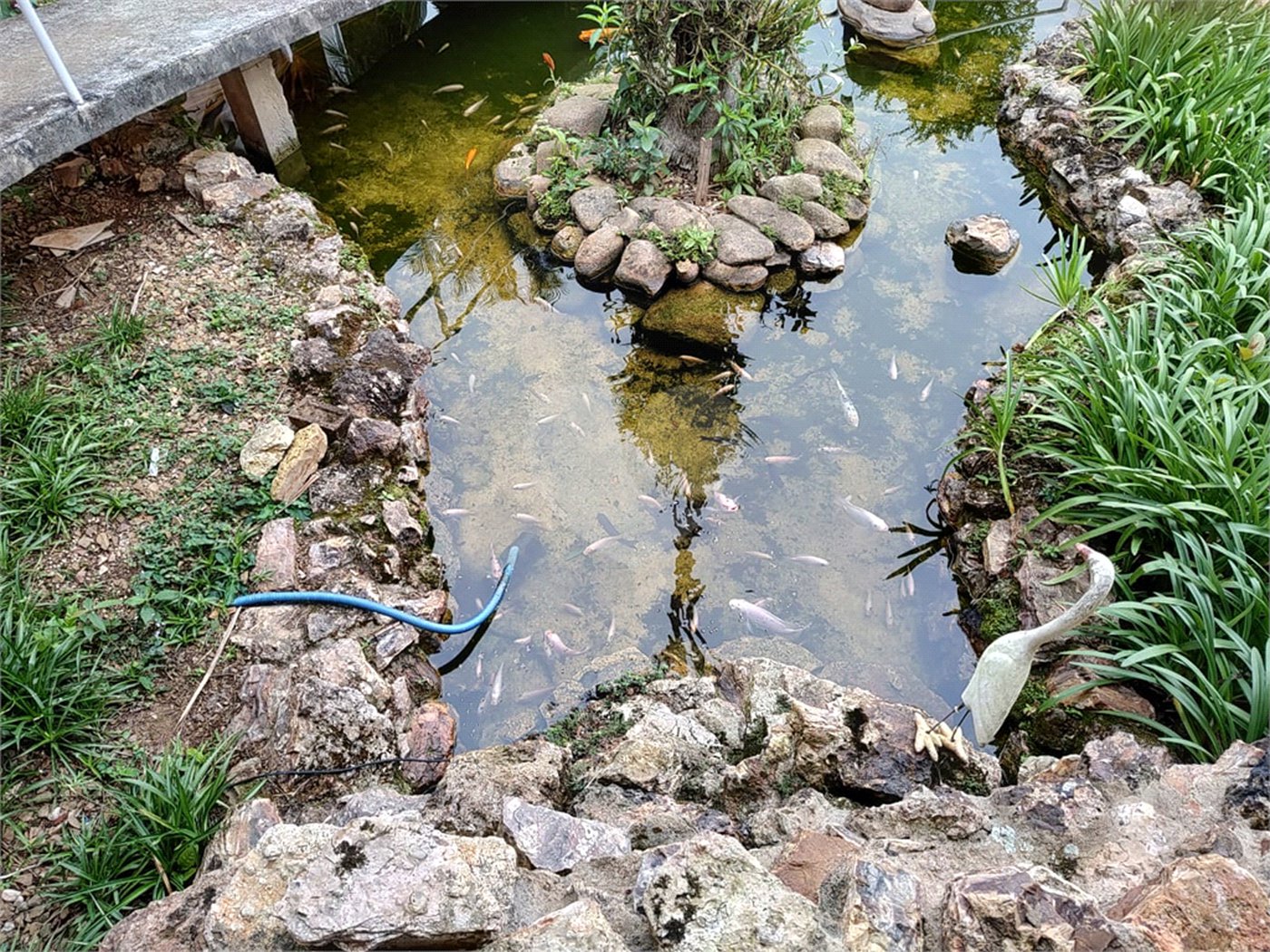 Chácara à venda com 3 quartos, sendo 1 suíte, em Bairro do Machadinho, Angatuba, SP