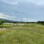 Terreno à venda em Parque Residencial Itapeti, Mogi das Cruzes, SP
