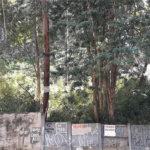 Terreno à venda ou para alugar em Vila Andrade, São Paulo, SP
