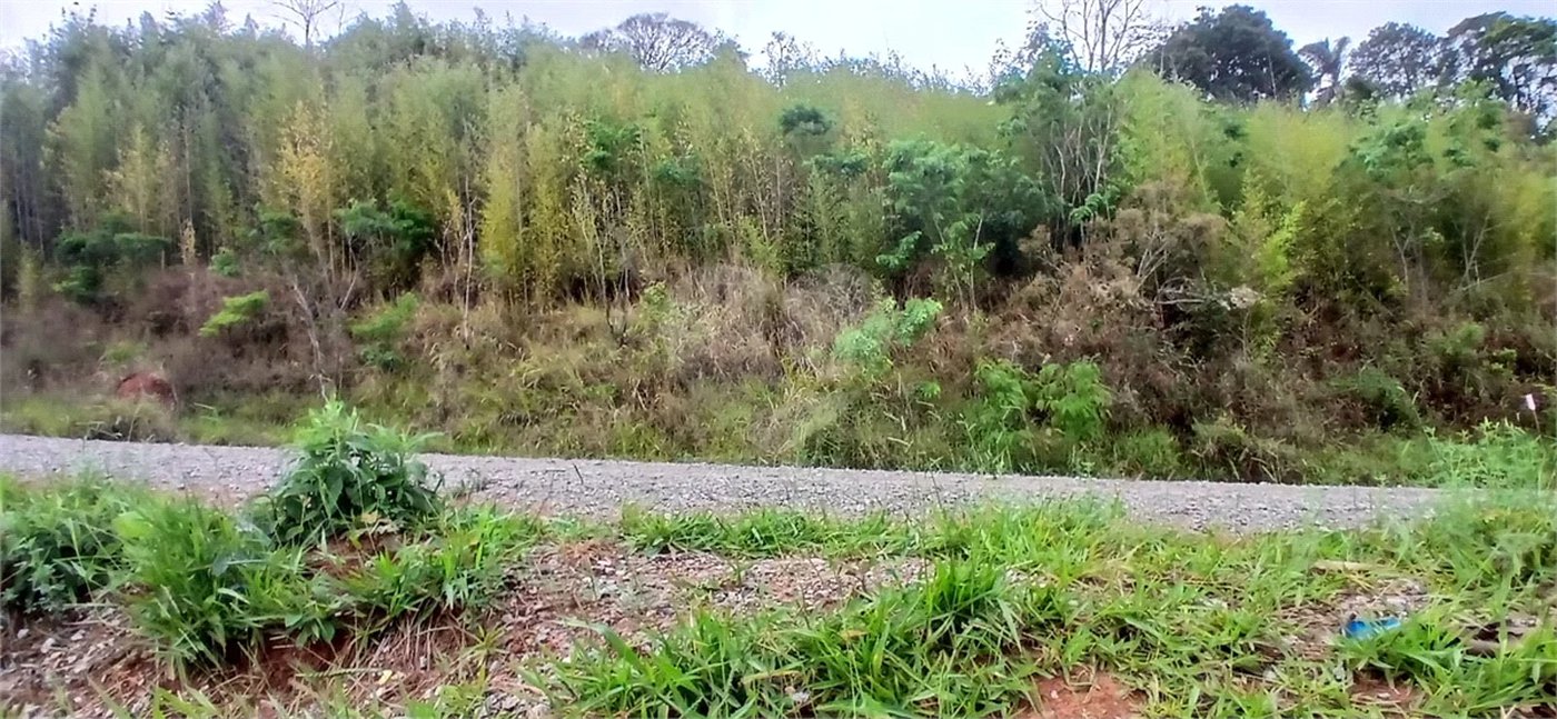 Terreno à venda em Luiz Fagundes, Mairiporã, SP