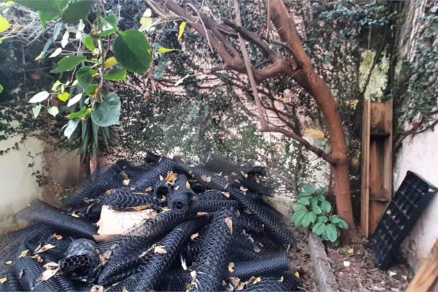 Casa Térrea à venda com 3 quartos em Casa Verde, São Paulo, SP