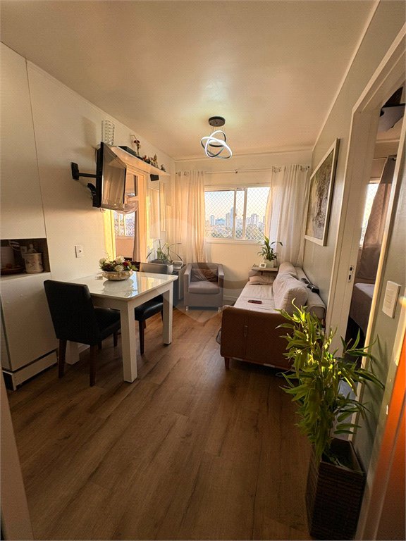 Apartamento à venda com 2 quartos em Vila Pierina, São Paulo, SP