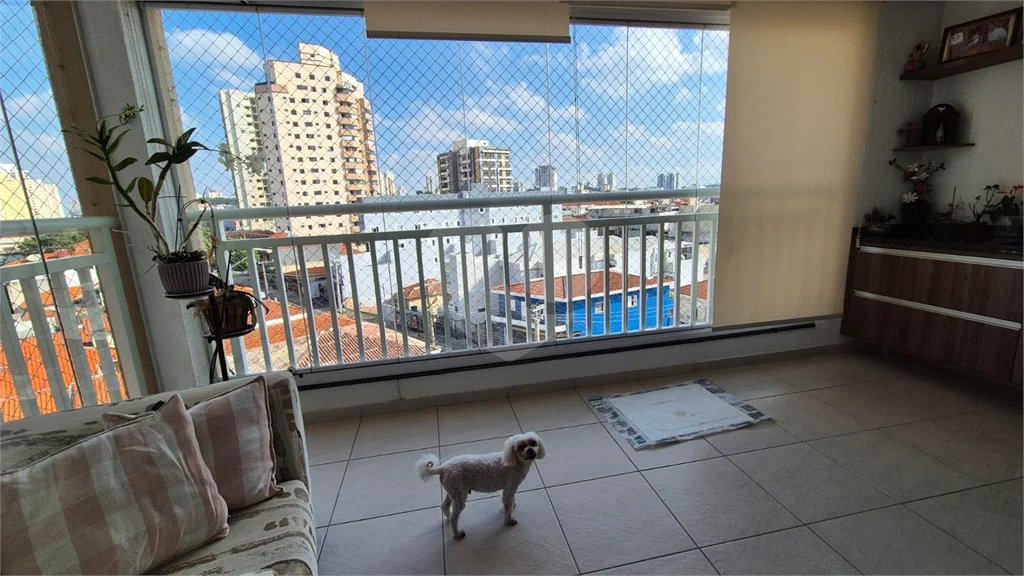 Apartamento à venda com 3 quartos, sendo 1 suíte, em Chora Menino, São Paulo, SP