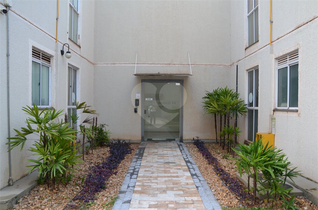 Apartamento à venda com 2 quartos em Jardim Ouro Branco, Ribeirão Preto, SP
