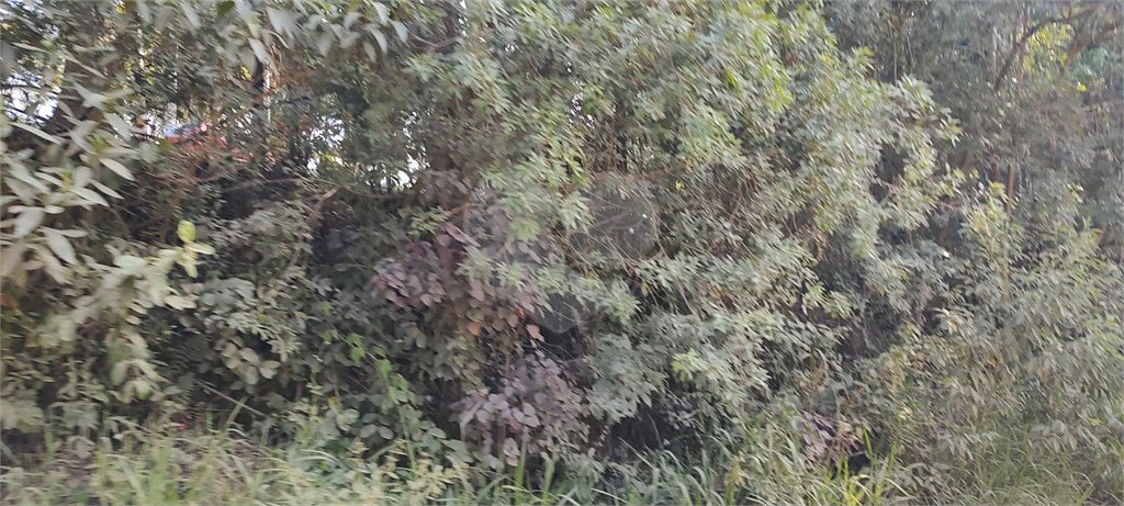 Terreno à venda em Luiz Fagundes, Mairiporã, SP