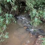 Sítio à venda com 3 quartos, sendo 2 suítes,  em Cachoeira, Atibaia, SP