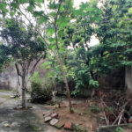 Casa à venda com 2 quartos em Campo Grande, Rio de Janeiro, RJ