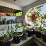 Sobrado à venda ou para alugar com 3 quartos, sendo 13 suítes, em Jardim São Paulo(zona Norte), São Paulo, SP