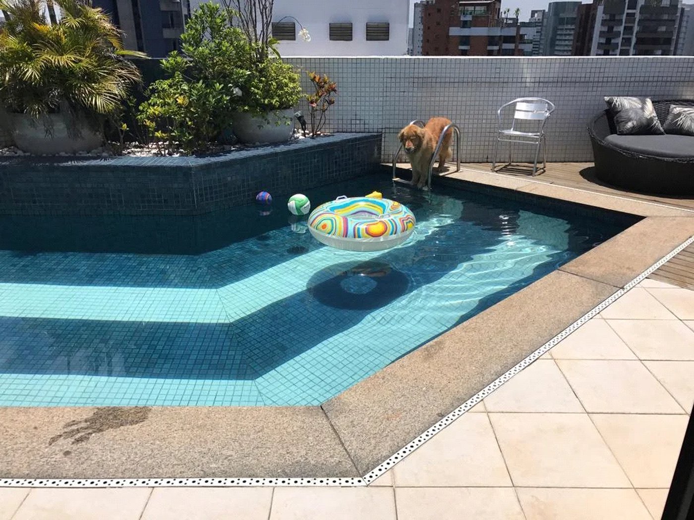 Cobertura à venda com 2 suítes em Vila Suzana, São Paulo, SP