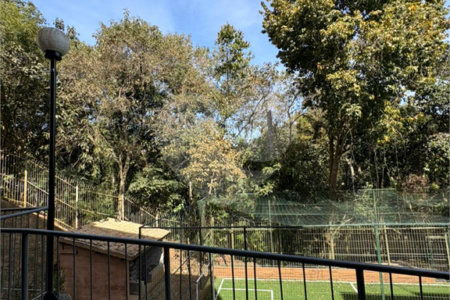 Apartamento à venda com 2 quartos em Vila Caputera, Mogi das Cruzes, SP