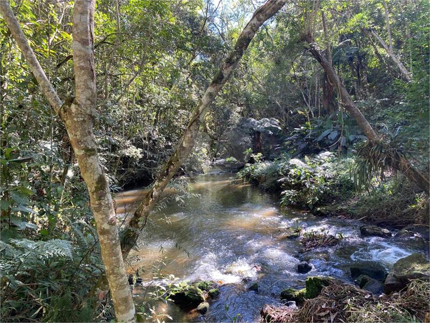 Sítio à venda com 2 quartos, sendo 1 suíte, em Ibiúna, Ibiúna, SP
