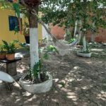 Chácara à venda com 2 quartos, sendo 1 suíte, em Área Rural de Cuiabá, Cuiabá, MT