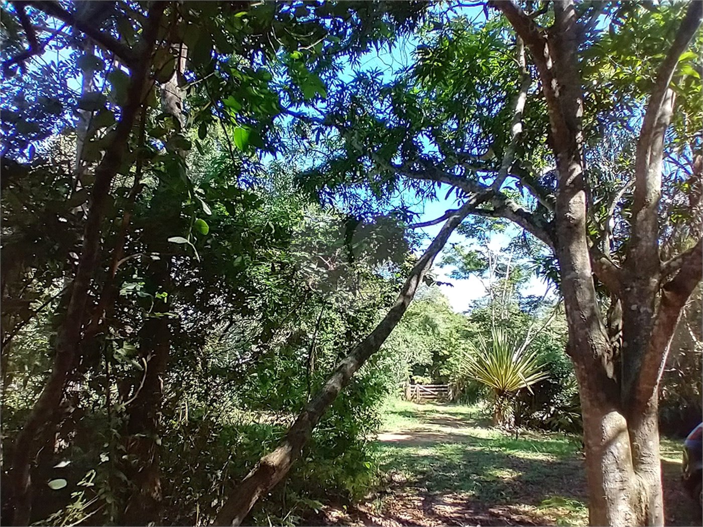Casa à venda com 1 quarto em Vila Verde, Armação dos Búzios, RJ