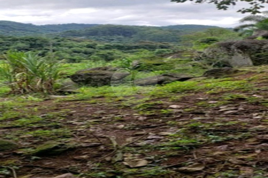 Terreno à venda em Horto, São Paulo, SP