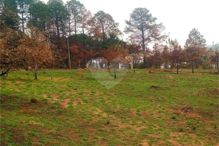 Fazenda à venda com 2 quartos em City Castello, Itu, SP