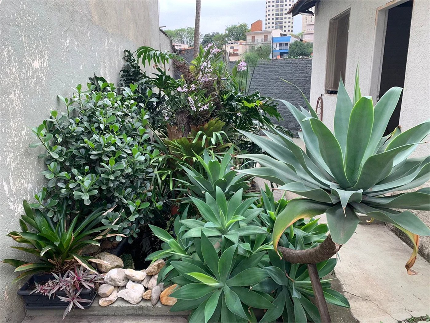 Casa à venda com 4 quartos em Vila Ipojuca, São Paulo, SP