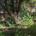 Terreno à venda - Vila São José