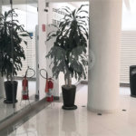 Apartamento à venda com 2 quartos em Jardim América, São Paulo, SP