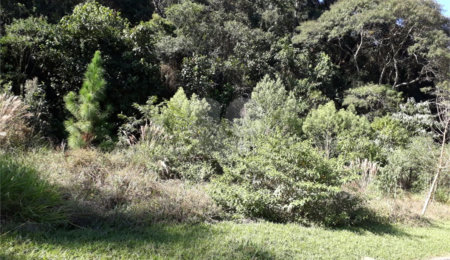Terreno à venda em Serra da Cantareira, Mairiporã, SP