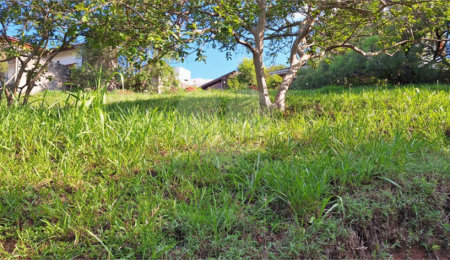 Terreno à venda em Marambaia, Vinhedo, SP