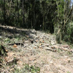 Terreno à venda em Serra da Cantareira, Mairiporã, SP