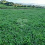 Área de Terra à venda em Três Pistas, Atibaia, SP