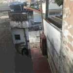 Casa Térrea à venda com 6 quartos, sendo 2 suítes, em Vila Mazzei, São Paulo, SP
