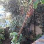 Casa Térrea à venda com 3 quartos, sendo 1 suíte, em Parque Peruche, São Paulo, SP