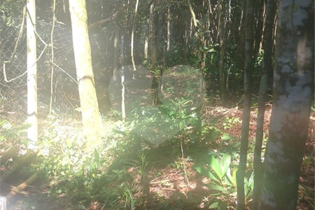 Terreno à venda em Dos Finco, São Bernardo do Campo, SP