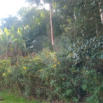 Terreno à venda no condomínio Alpes da Cantareira, Mairiporã - SP