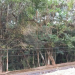 Terreno à venda em Jardim América, Bragança Paulista, SP