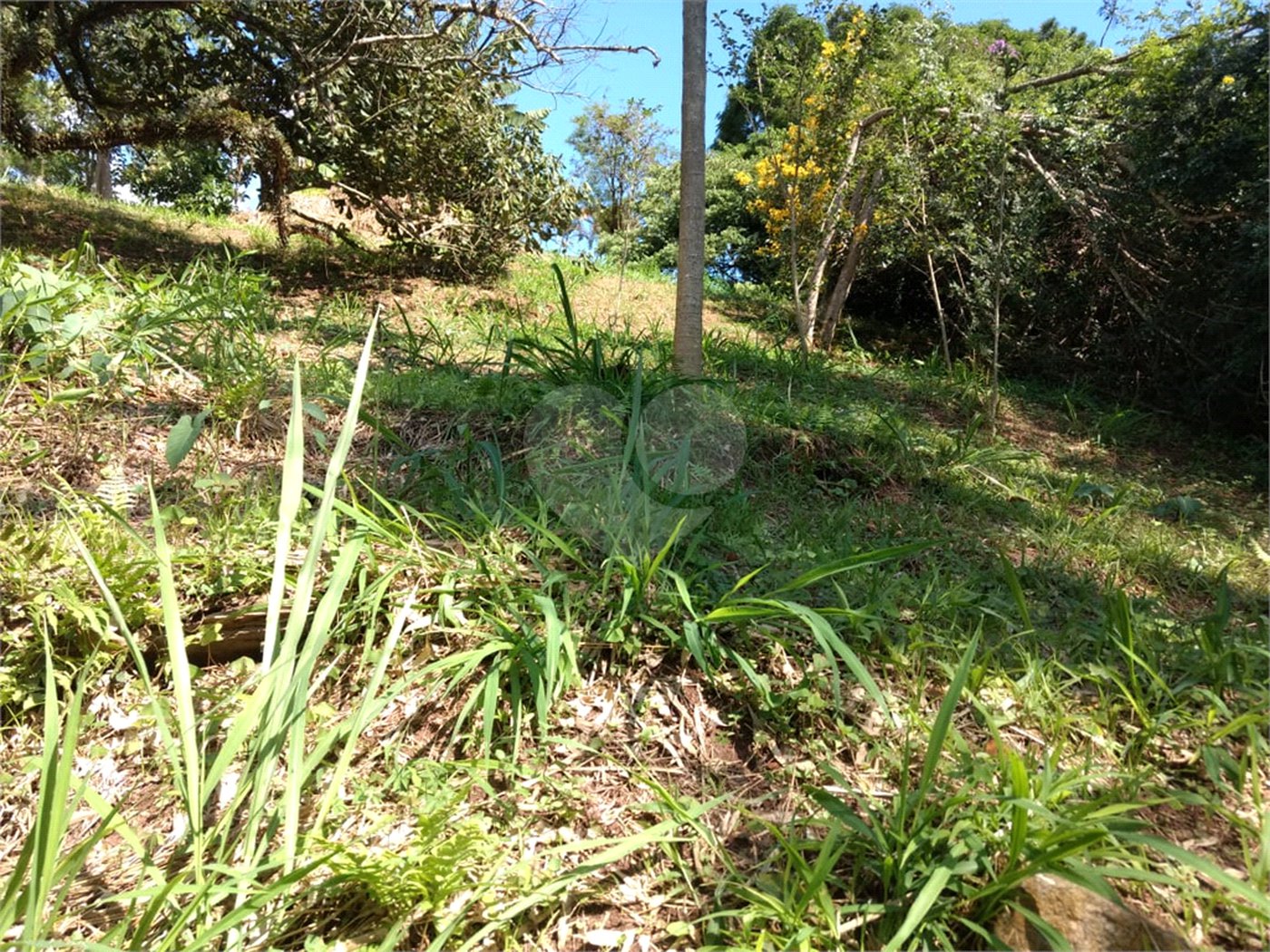 Terreno à venda em Jardim Morumbi, São Paulo, SP
