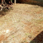 Terreno à venda em Freguesia do Ó, São Paulo, SP