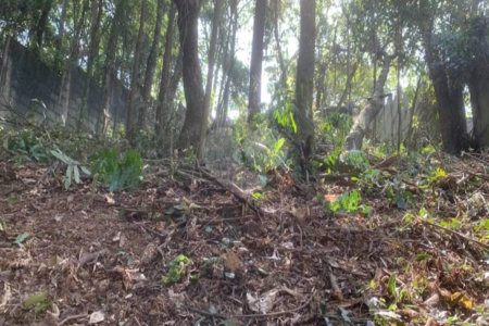 Terreno à venda em Jardim Peri Peri, São Paulo, SP