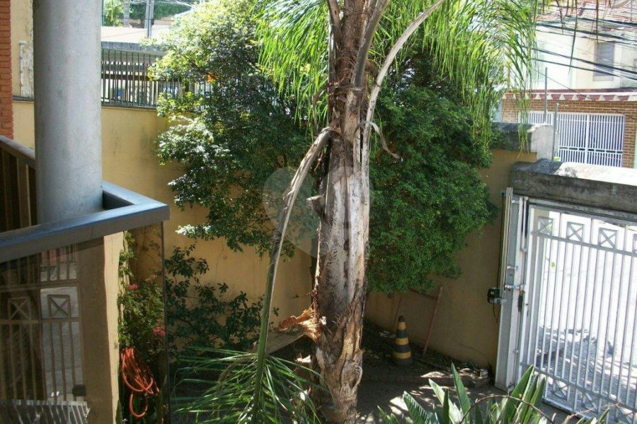 Sobrado à venda ou para alugar com 4 suítes em Vila Paulicéia, São Paulo, SP