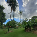 Casa à venda com 3 quartos, sendo 1 suíte, no condomínio Residencial Vale das Laranjeiras, Indaiatuba - SP