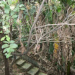 Terreno à venda em Jardim Jussara, São Paulo, SP